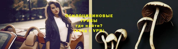 a pvp Арсеньев